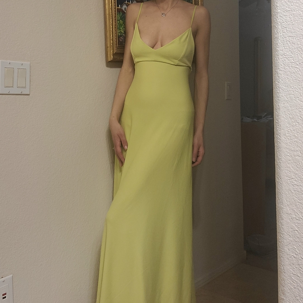 Zara Dress - Picture 14 of 14